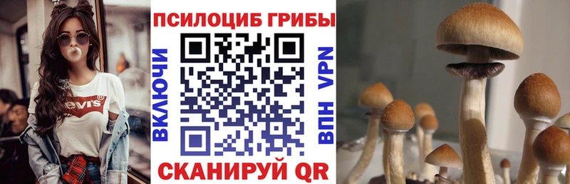 это клад  где купить   Нолинск  Псилоцибиновые грибы прущие грибы 